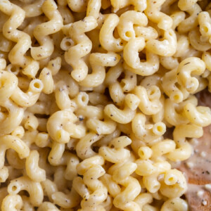 cavatappi pasta cooked in a parmesan cheese cream sauce