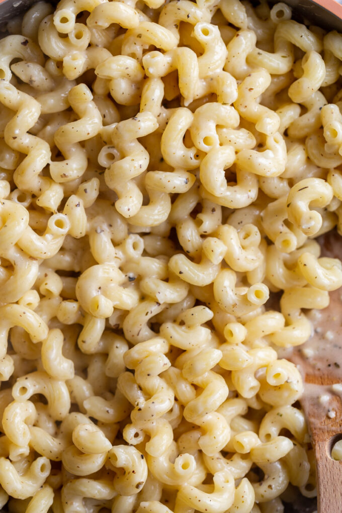 cavatappi pasta cooked in a parmesan cheese cream sauce