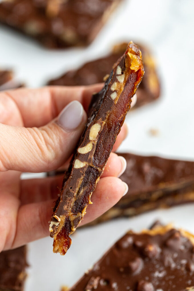 hand holding up a piece of date bark so that you can see the layers inside