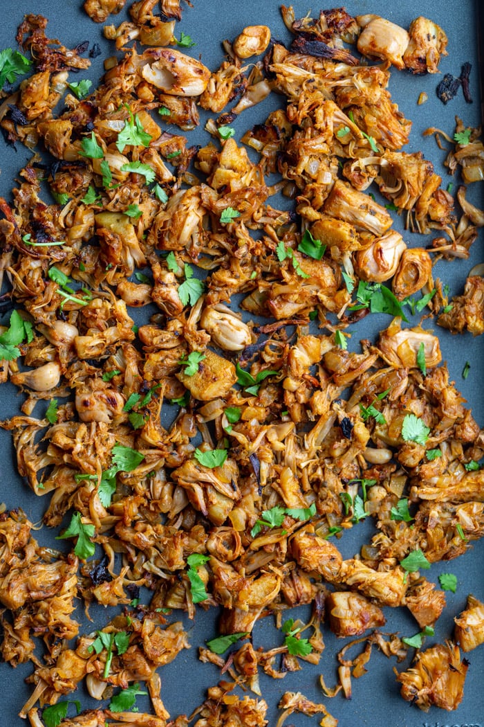 shredded jackfruit carnitas on a baking tray and topped with cilantro