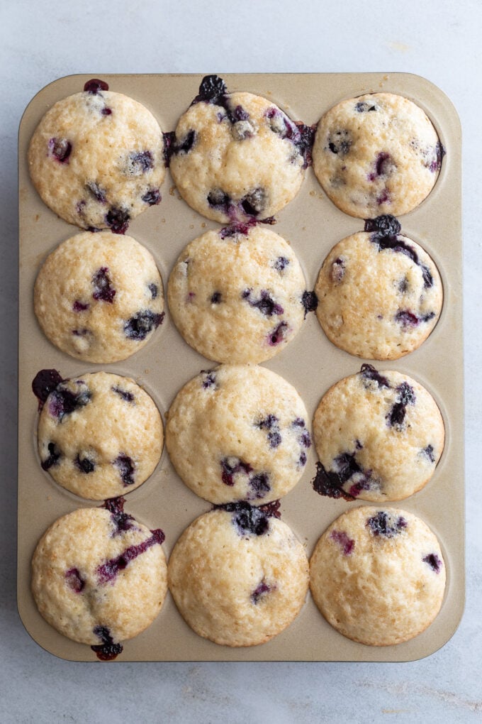 Blueberry muffins in a muffin tin.