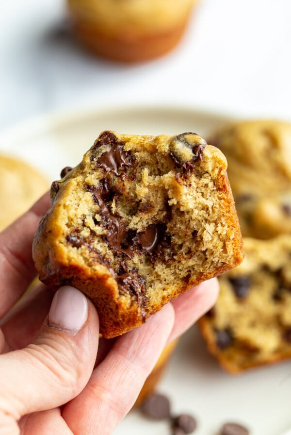 hand holding up a chocolate chip muffin