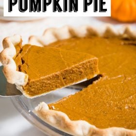 Vegan Pumpkin Pie- this classic pie is very simple to make and SO delicious. Your friends and family will never even know that it is vegan!!