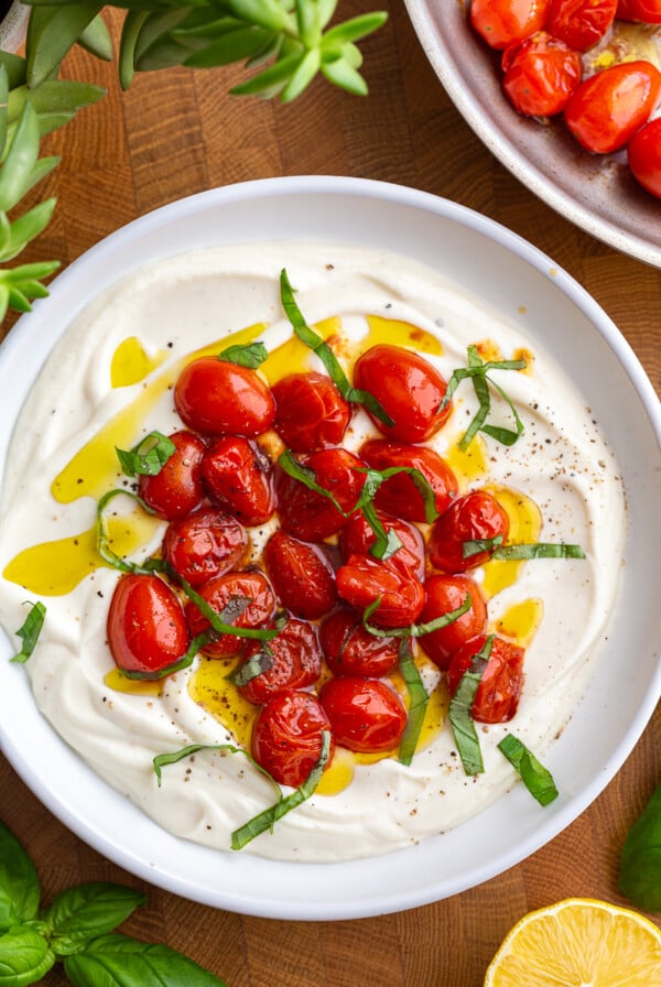 Whipped ricotta cheese in a big bowl that's topped with bright red burst cherry tomatoes and green basil ribbons and a drizzle of olive oil